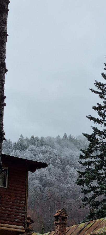 Sophie Apart Belleview Sinaia Luaran gambar