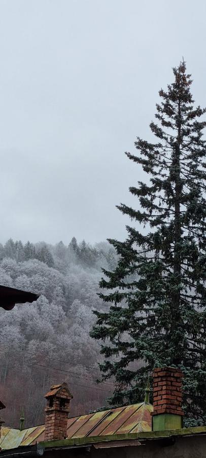 Sophie Apart Belleview Sinaia Luaran gambar